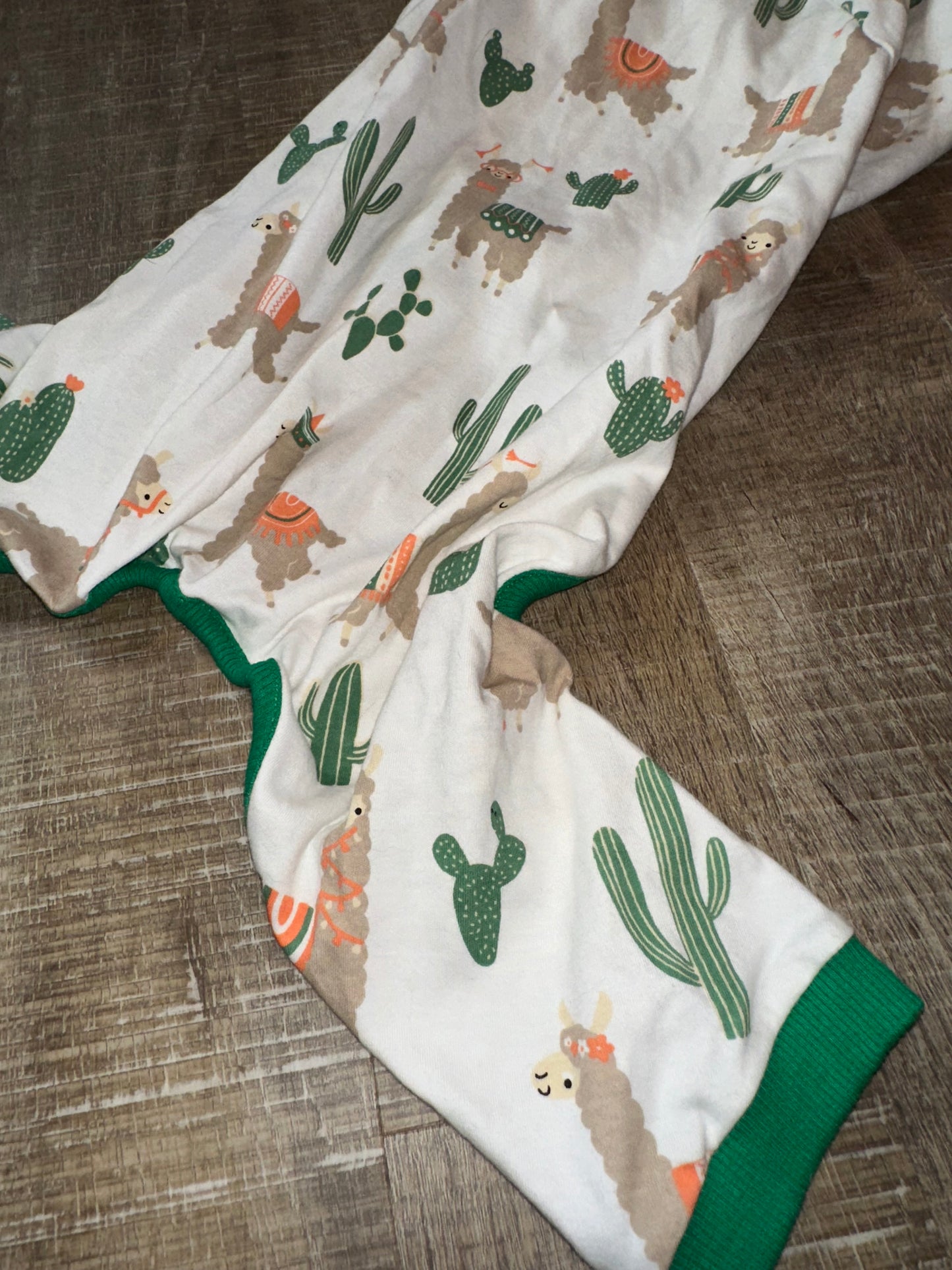 Lama & Cactus Pet Clothes