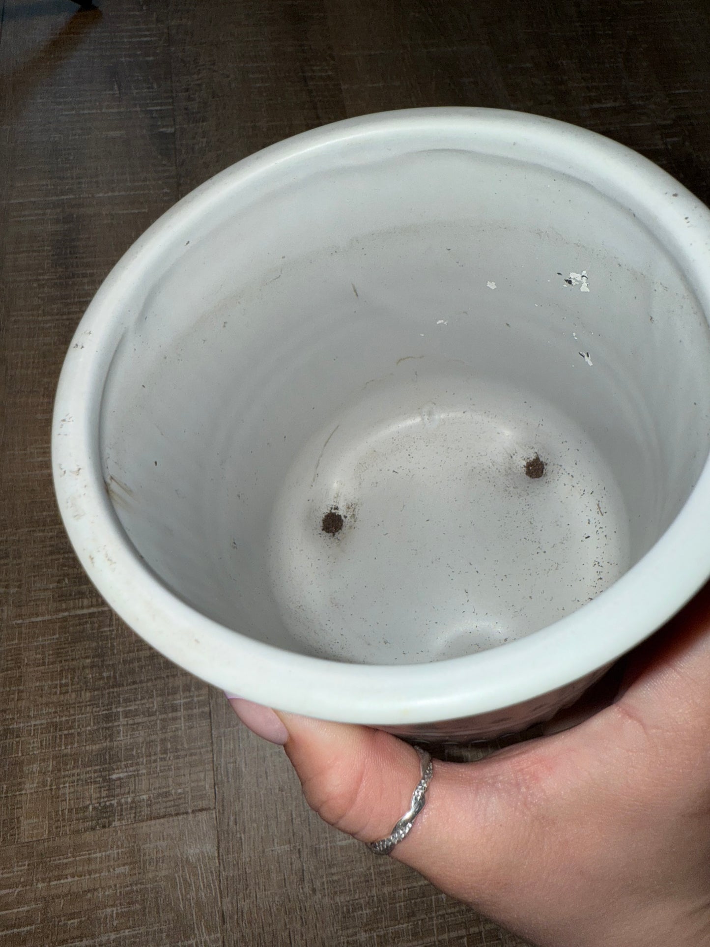 Plant Pot
