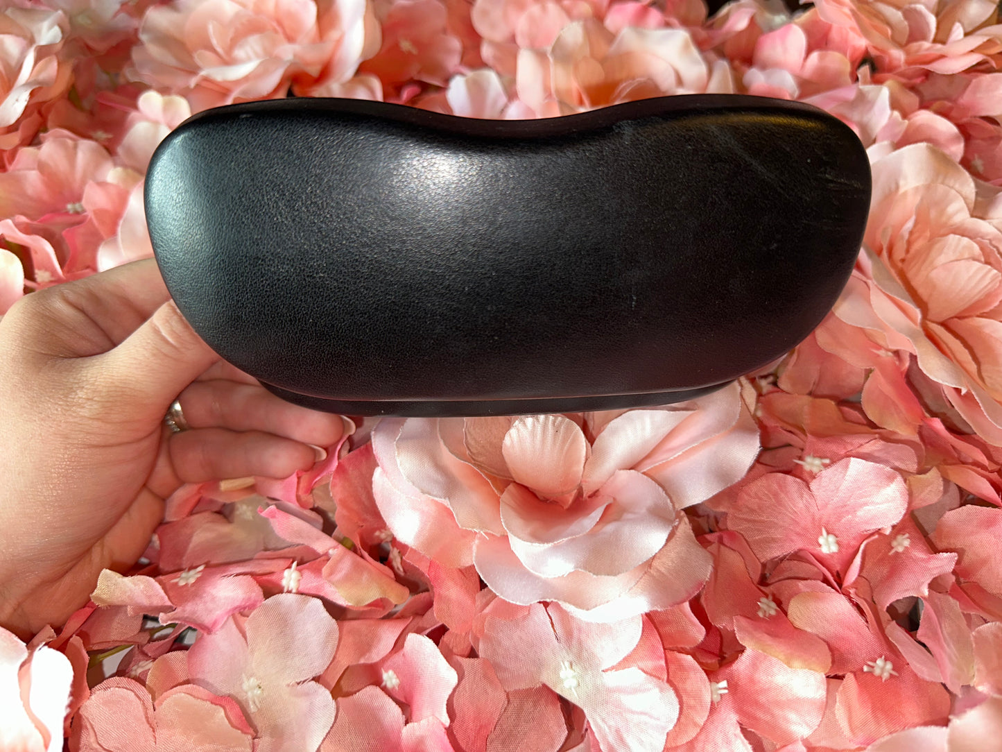 Ray Ban Black Hard Case