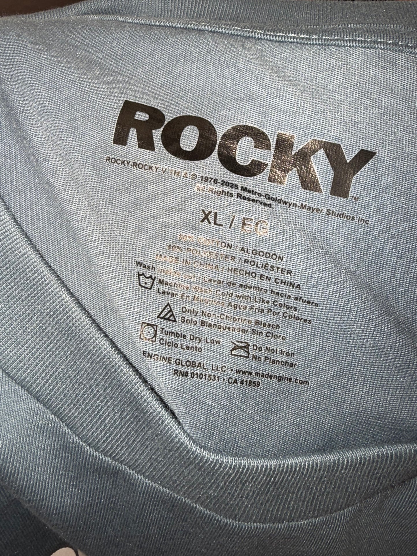 Rocky (XL) Blue Graphic T-Shirt