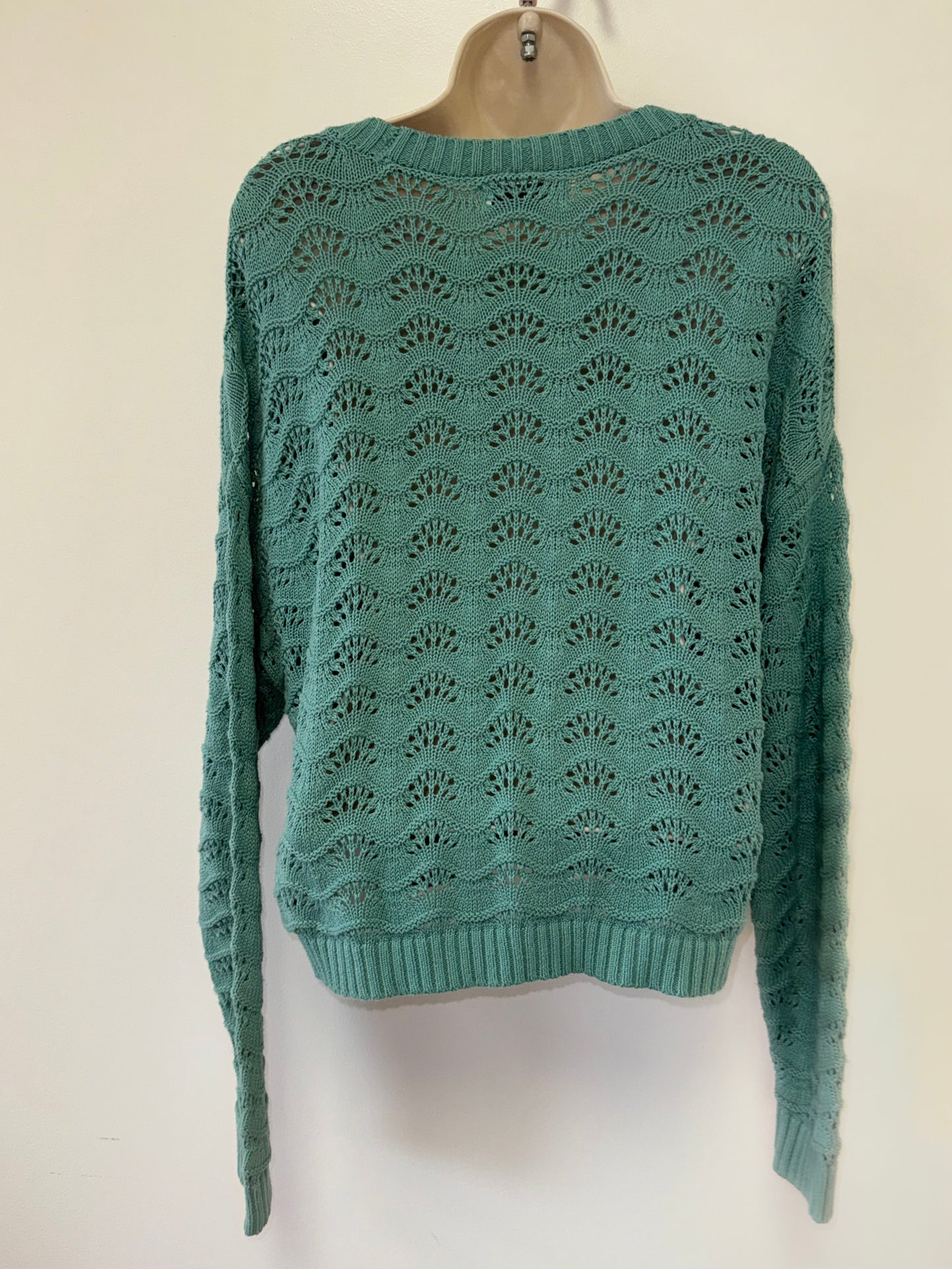 Hollister sweater