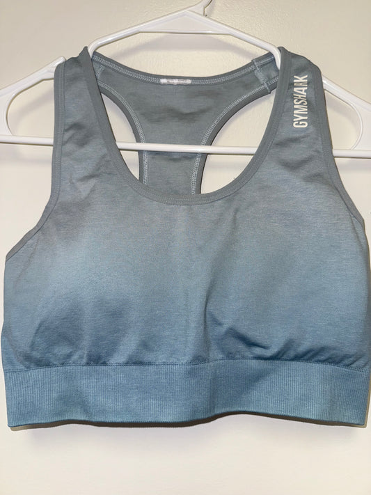 Gymshark Ombre Blue Colored Padded Sports Bra