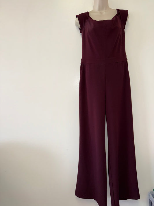 Express (Medium) Burgundy Elegant One Piece Jumpsuit with Pockets