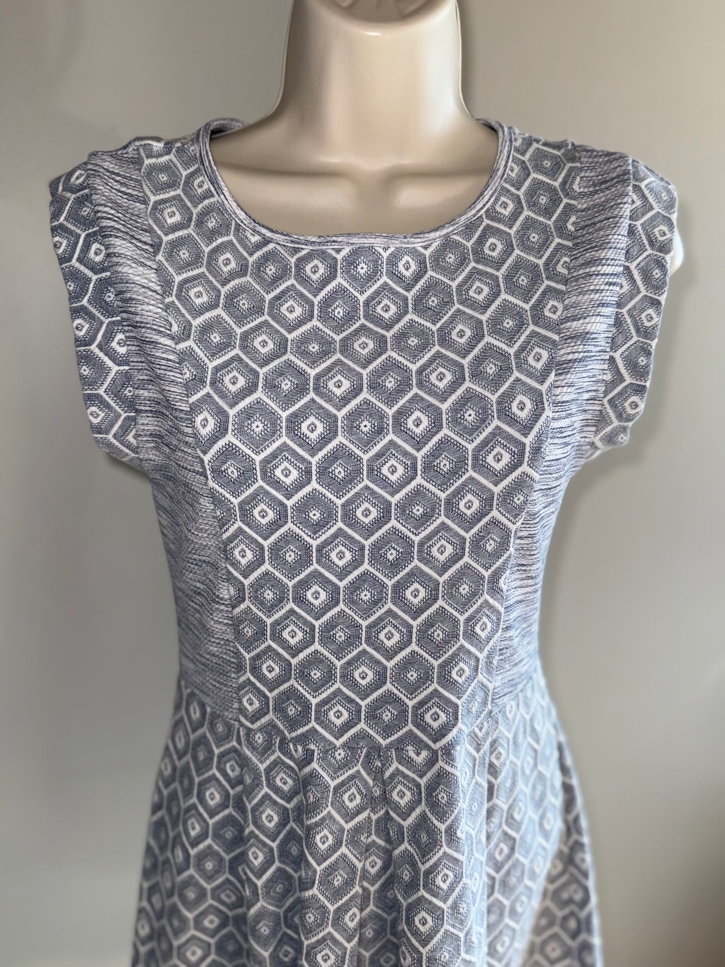 Francesca's (Small) Blue & White Lace Short Sleeve Midi Dress