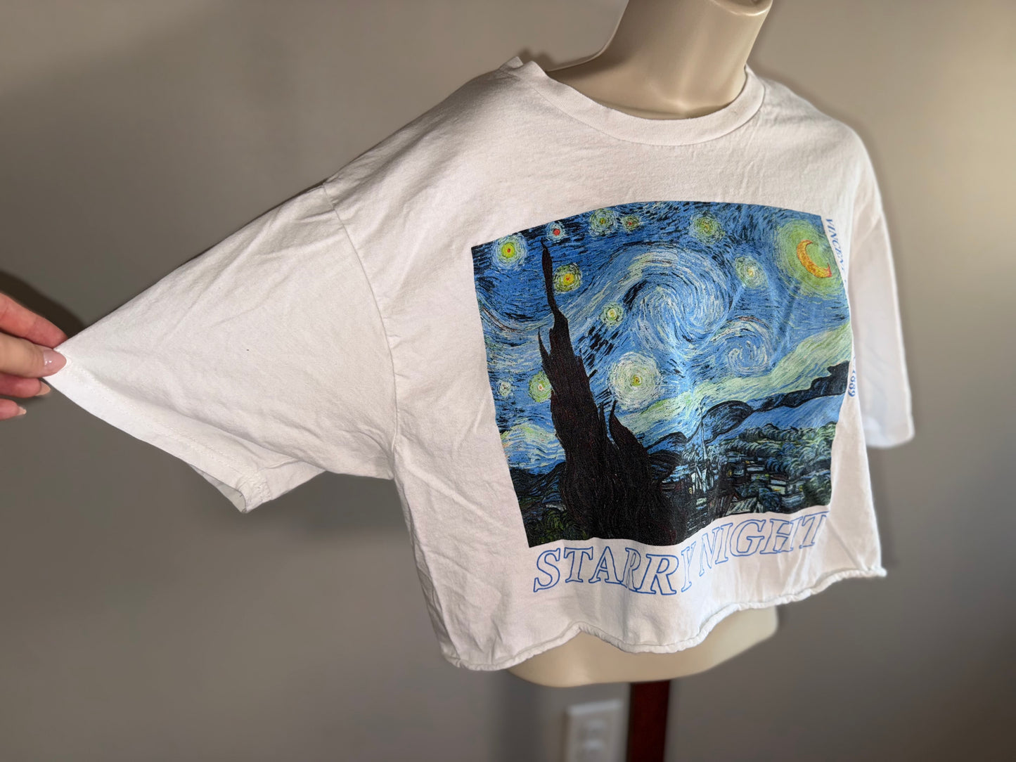 Vincent Van Gogh Starry Night Graphic Short Sleeve Cropped T-Shirt (XL) 1889