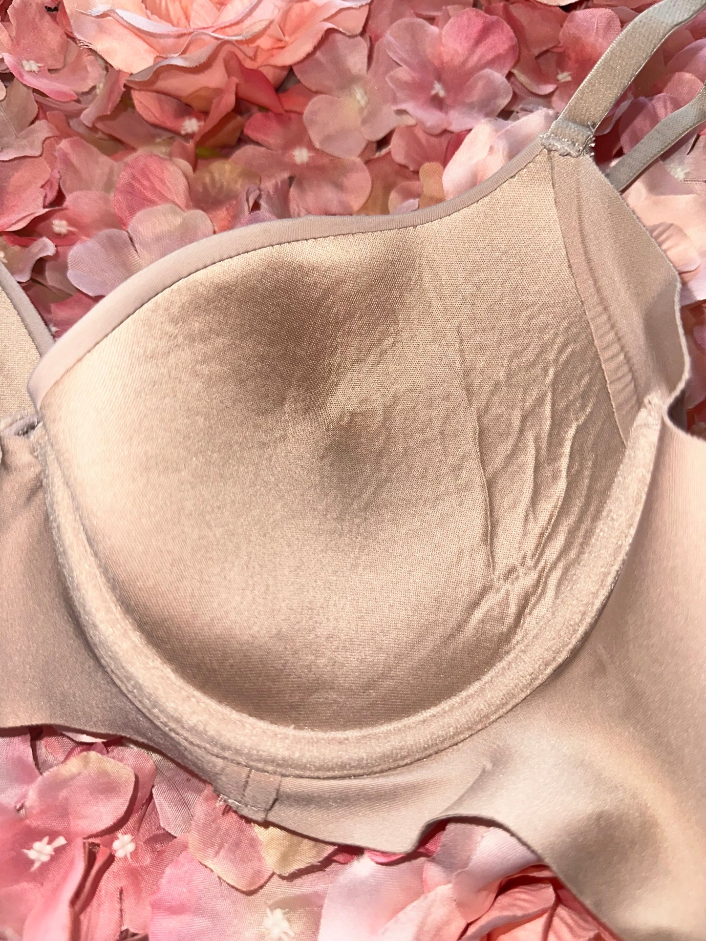 Tahari (36C) Tan Neutral Padded Bra