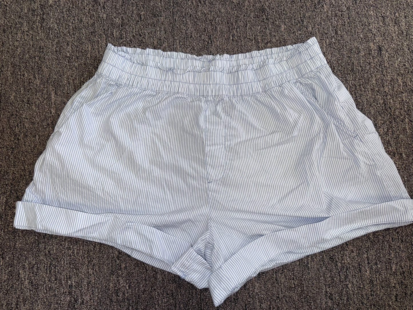 aerie (XL) Blue and White Striped Stretchy Casual Shorts