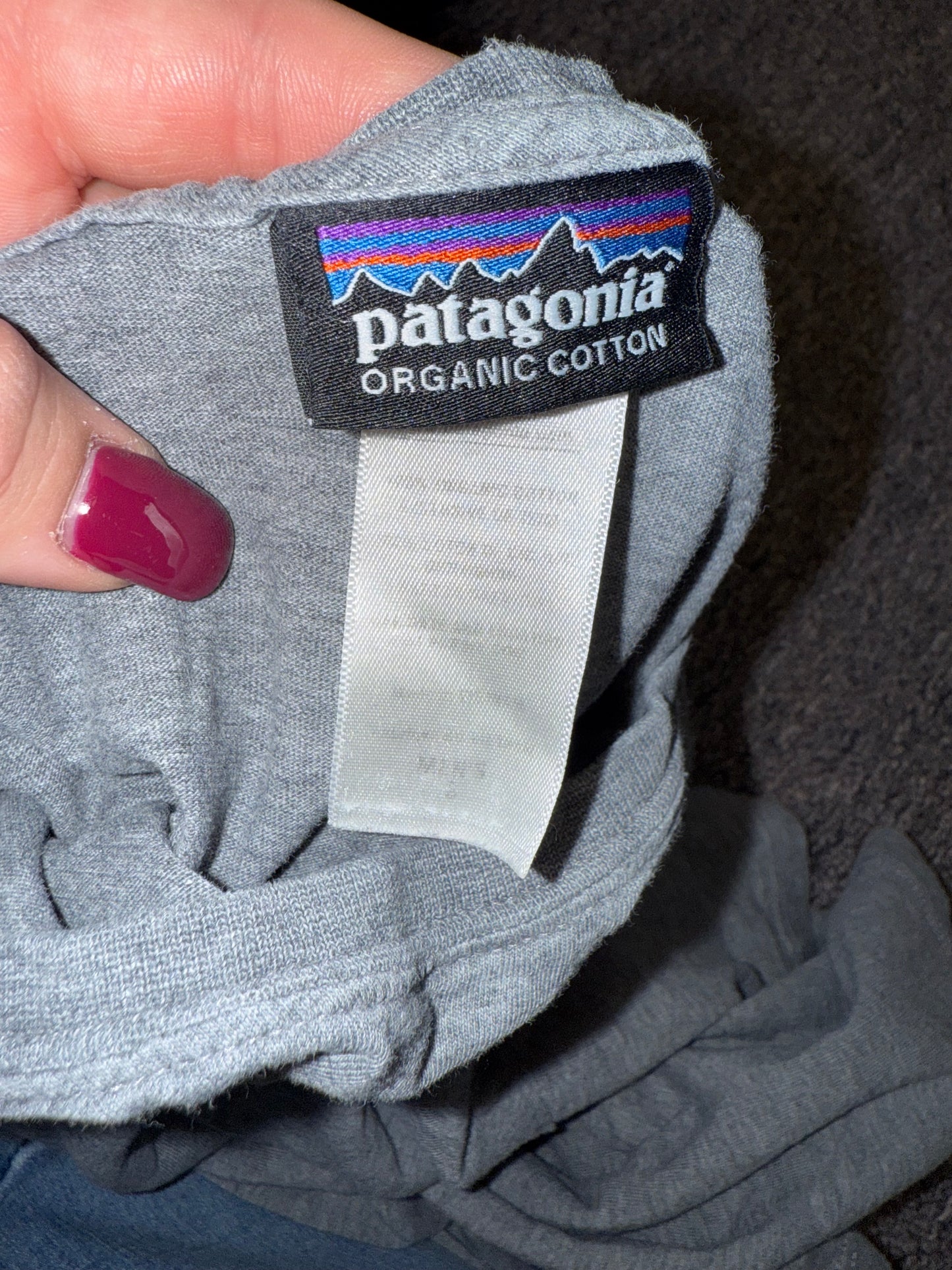 *FREE WITH PURCHASE* Patagonia (Small) Grey T-Shirt