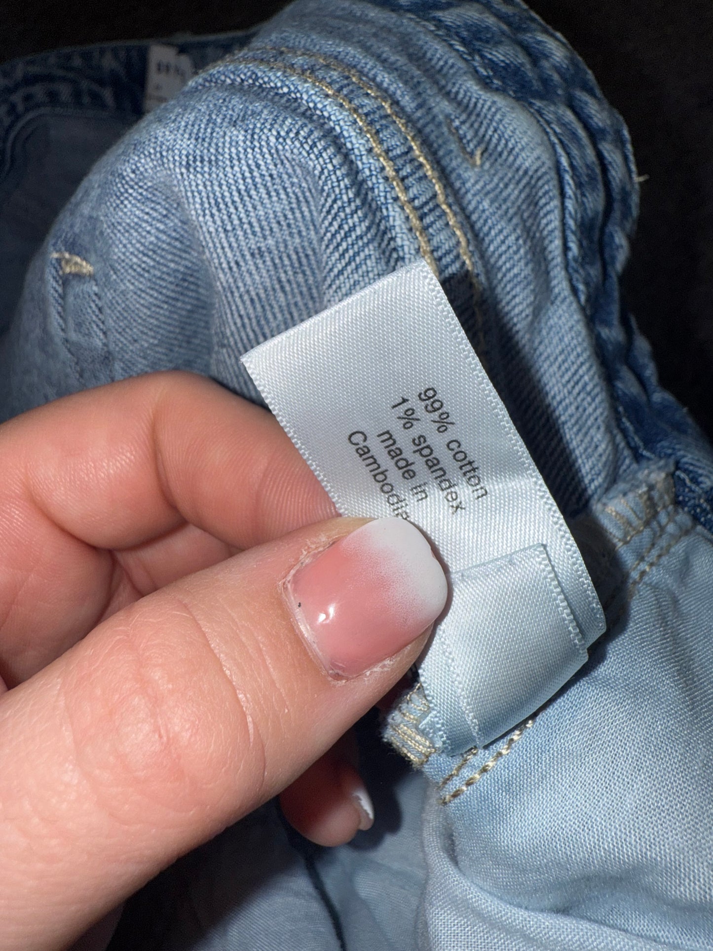 Lane Bryant (24) Denim Blue Jean Shorts