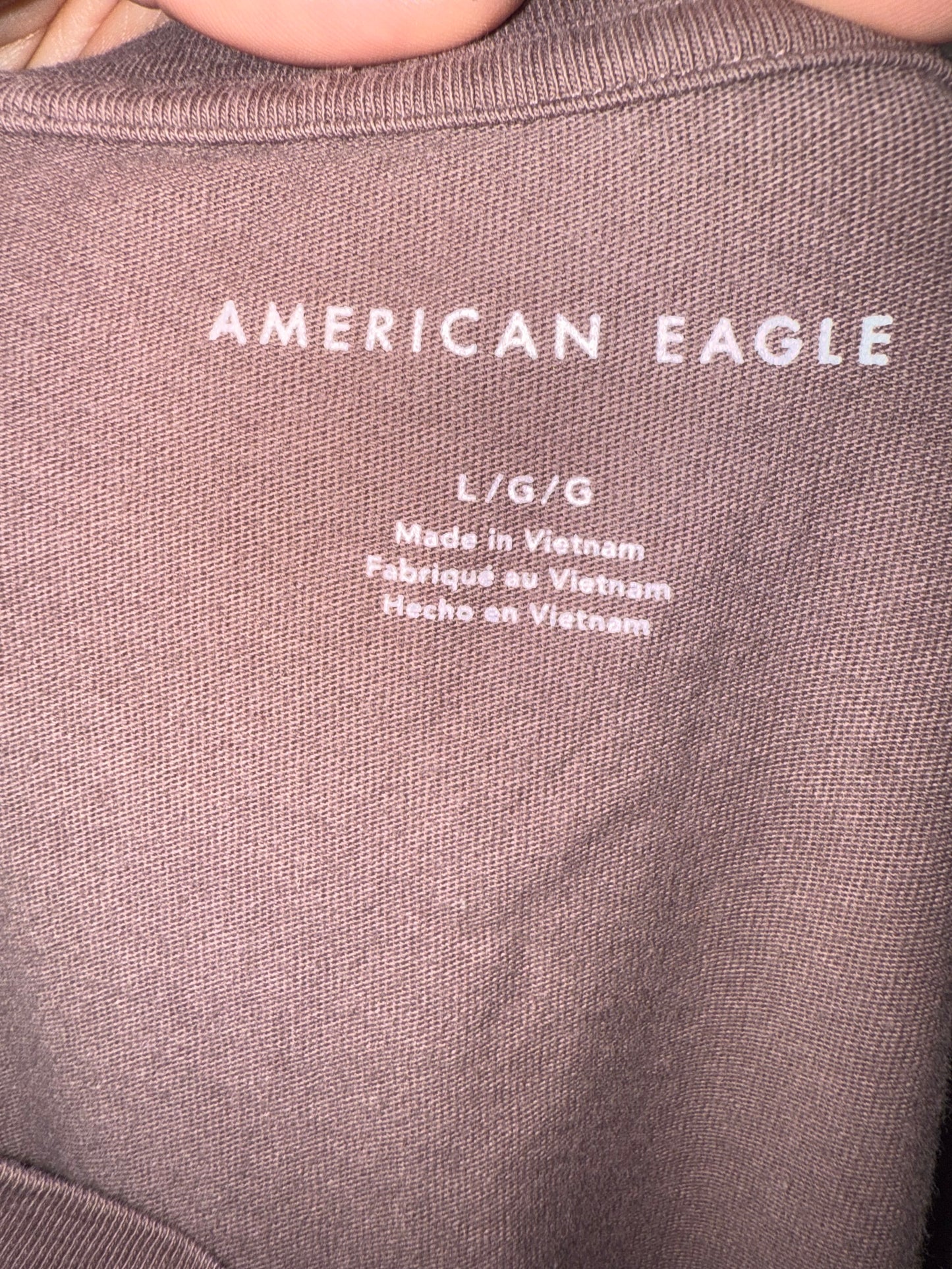 American Eagle (Large) Brown Cropped Pocket Tee