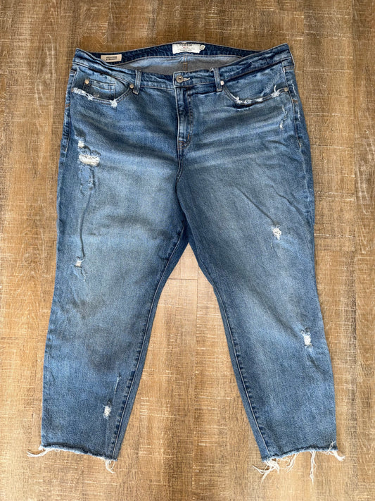 Torrid (22) Distressed Denim High Rise Straight Leg Jeans