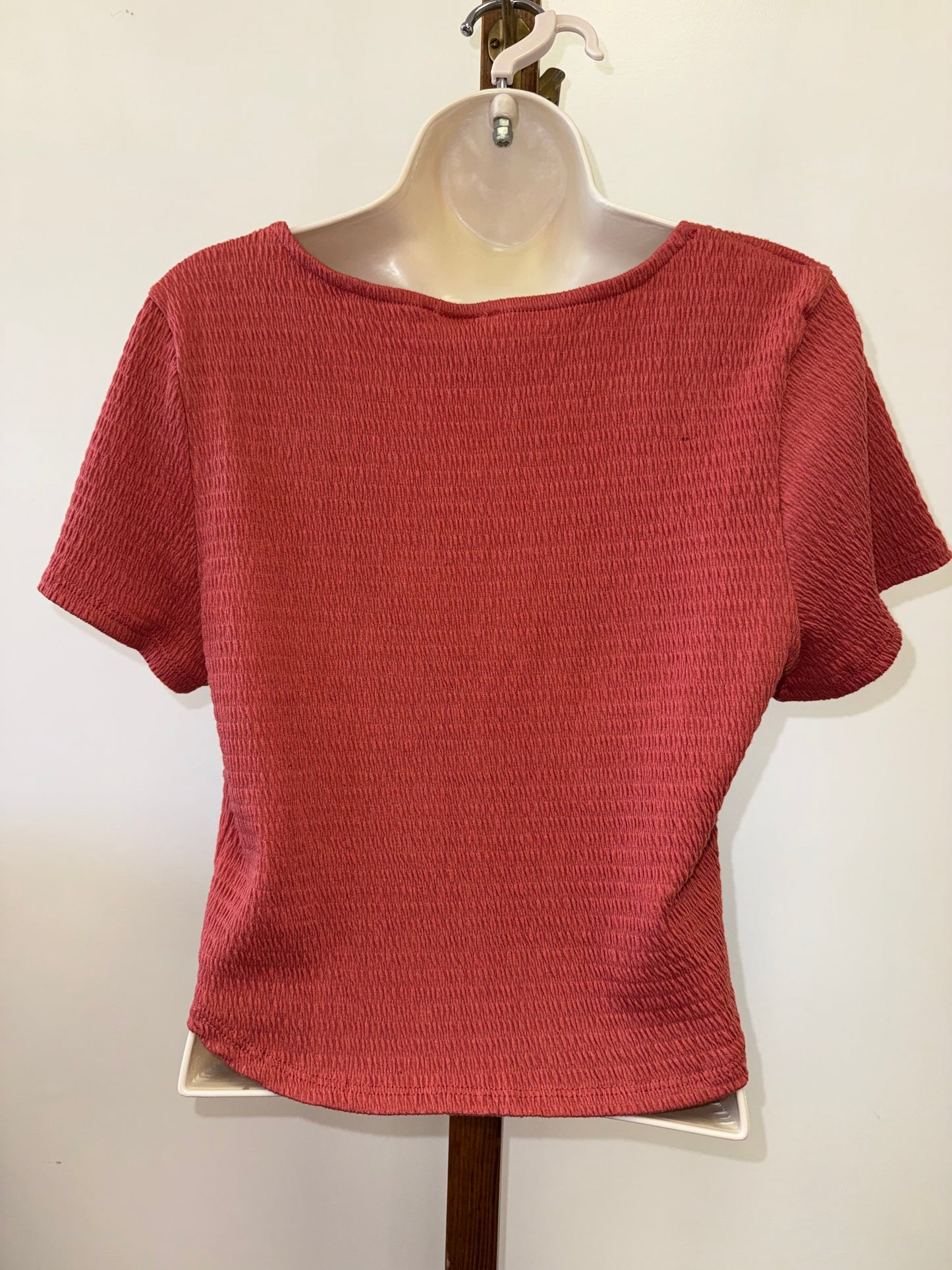 Wild Moss (XL) Burnt Orange Scrunched Tied V-Neck Crop Top