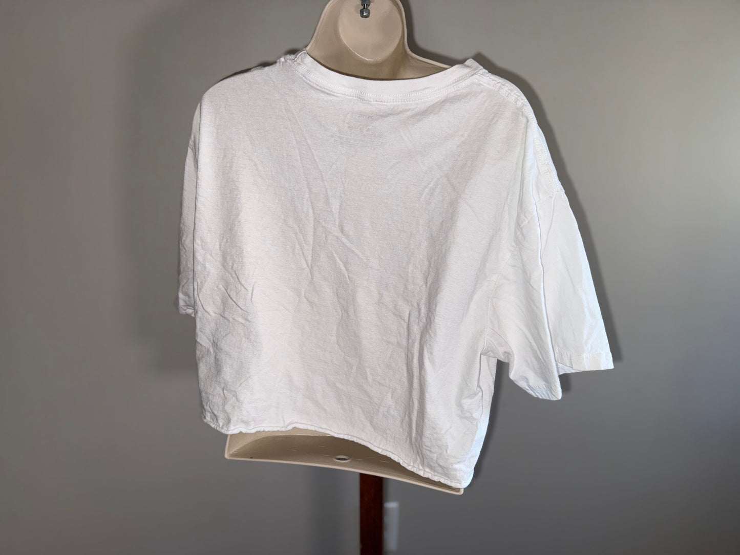 Vincent Van Gogh Starry Night Graphic Short Sleeve Cropped T-Shirt (XL) 1889