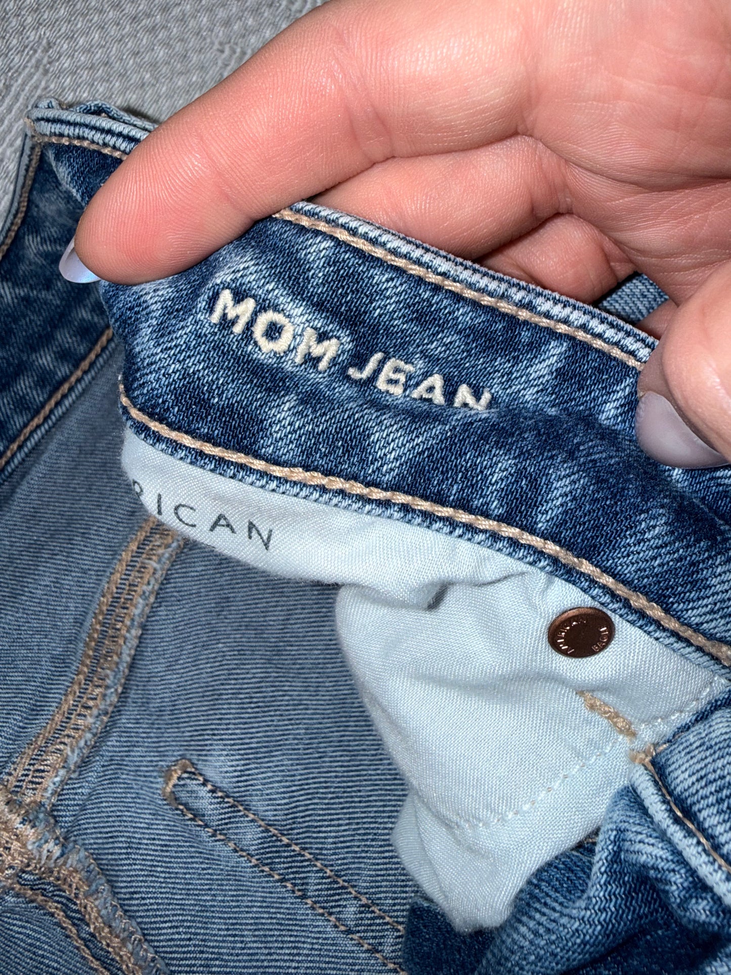 American Eagle (6) Strigid Denim Mom Jeans