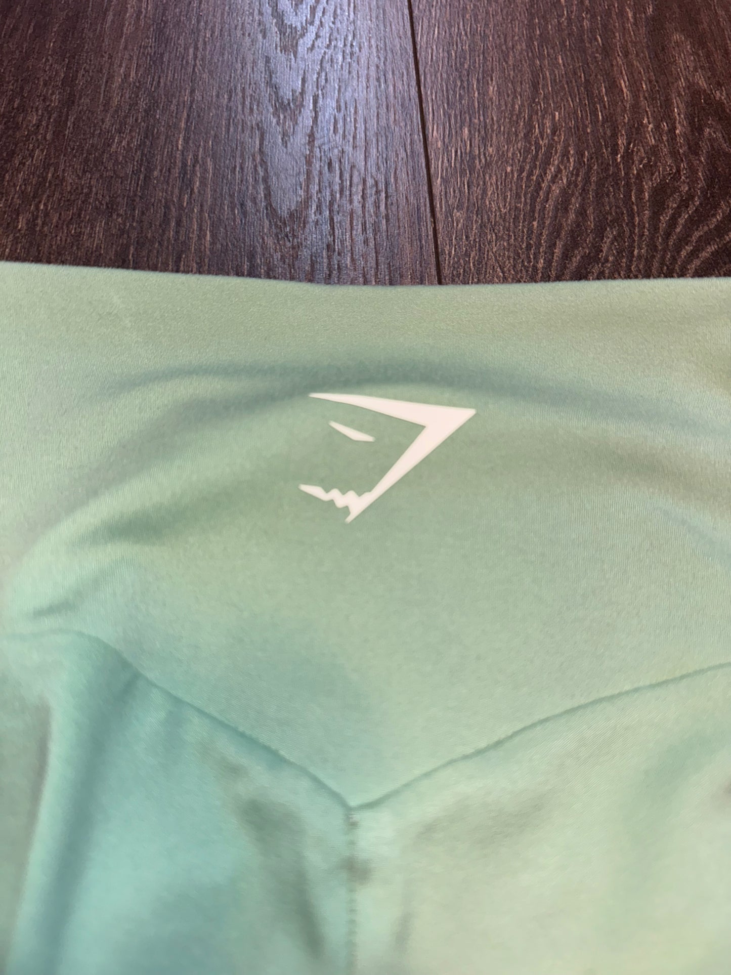 Gymshark (Small) Mint Green Smooth Leggings