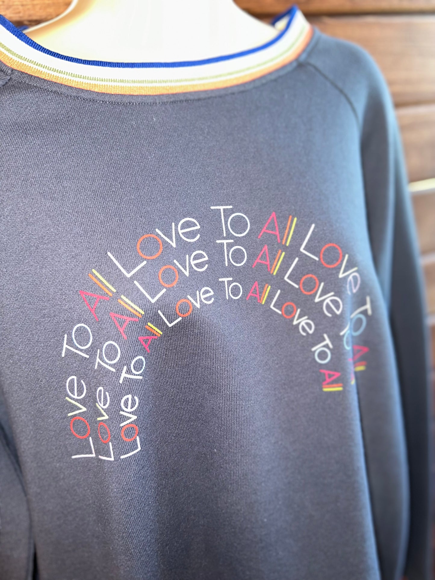 Time & Tru (Large) Grey "Love To All" Crewneck with Colorful Trim Sleeves