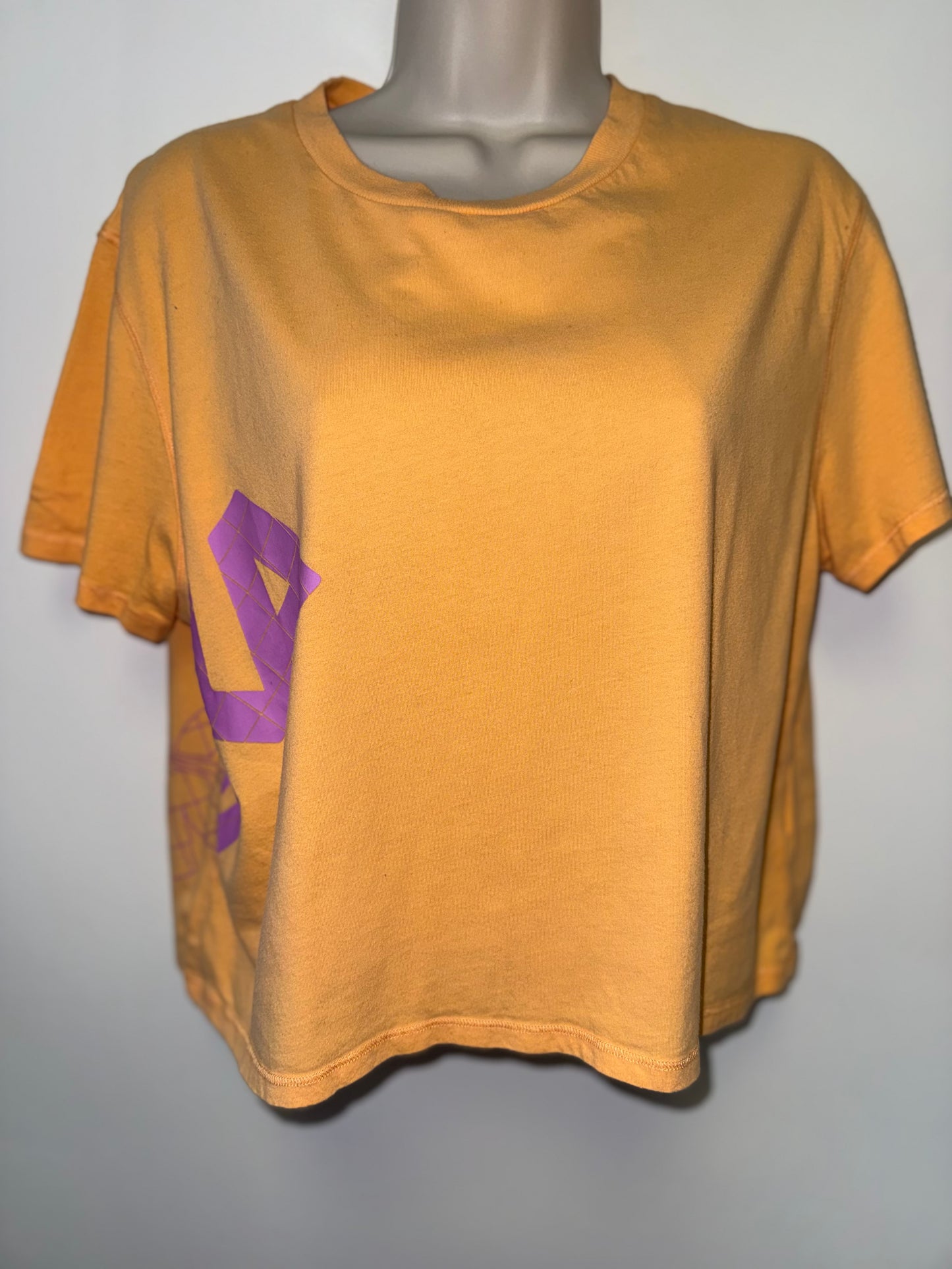 Hoka One (Medium) Orange Cropped T-Shirt with Pink Logo Side