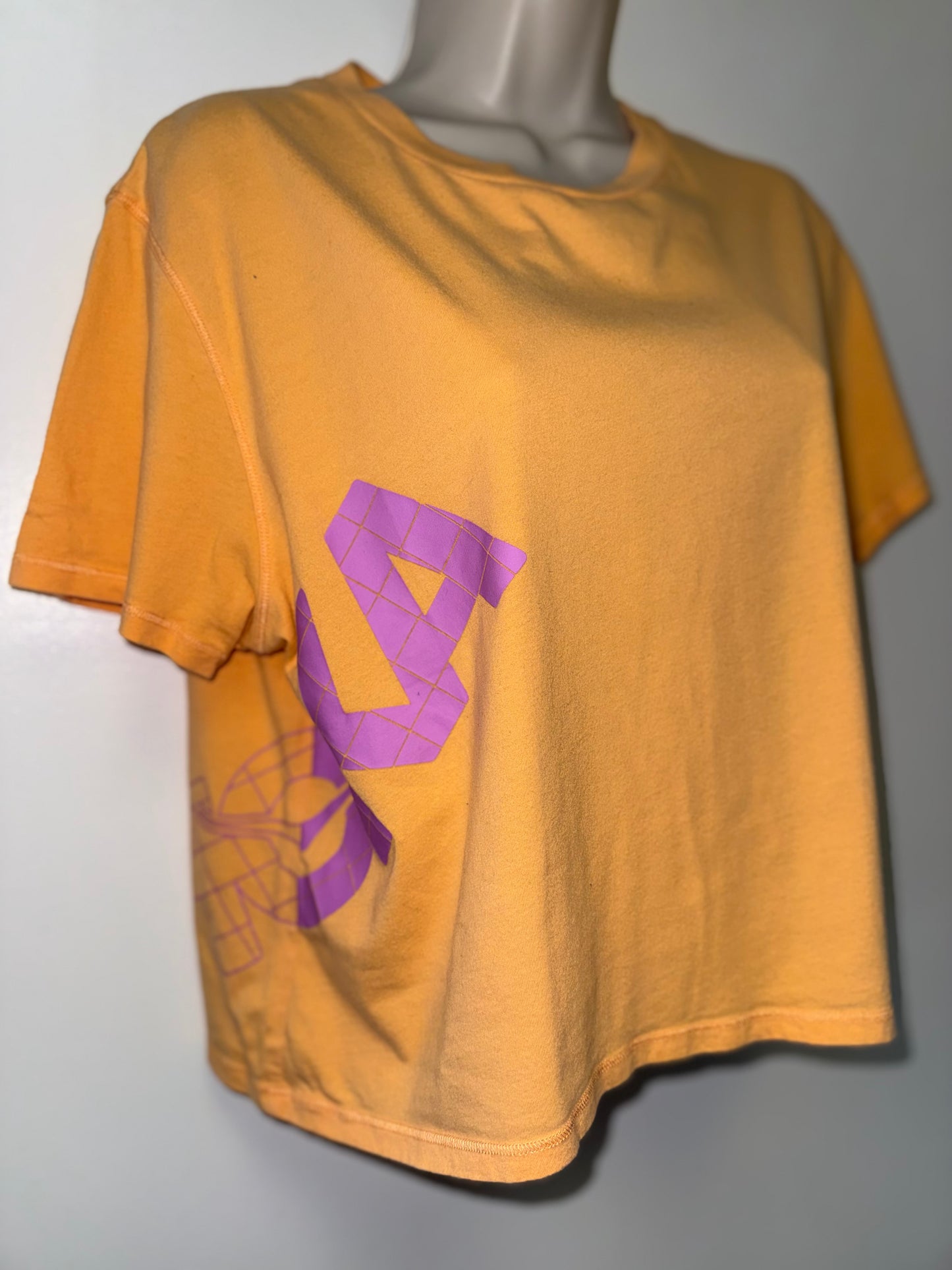 Hoka One (Medium) Orange Cropped T-Shirt with Pink Logo Side