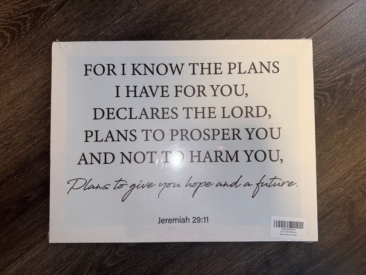 BRAND NEW Jeremiah 29:11 White Canvas