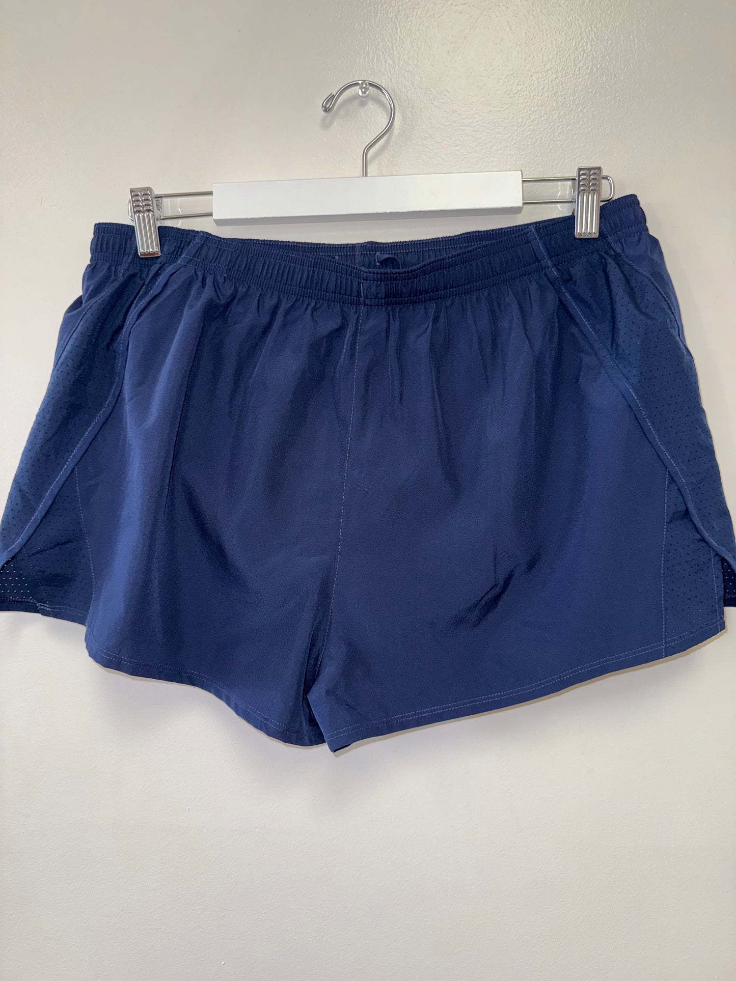 Nike (XL) Blue Dri Fit Sporty Shorts